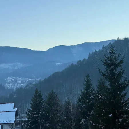Zavitaiko